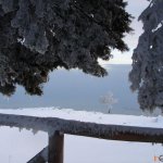 Cartoline dal Gargano