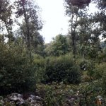 Escursione piana delle castagne, Monte Spigno,Monte Croce