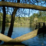 Foresta Umbra