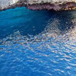 Isole Tremiti
