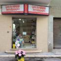 Casa del Tendaggio da Ezio